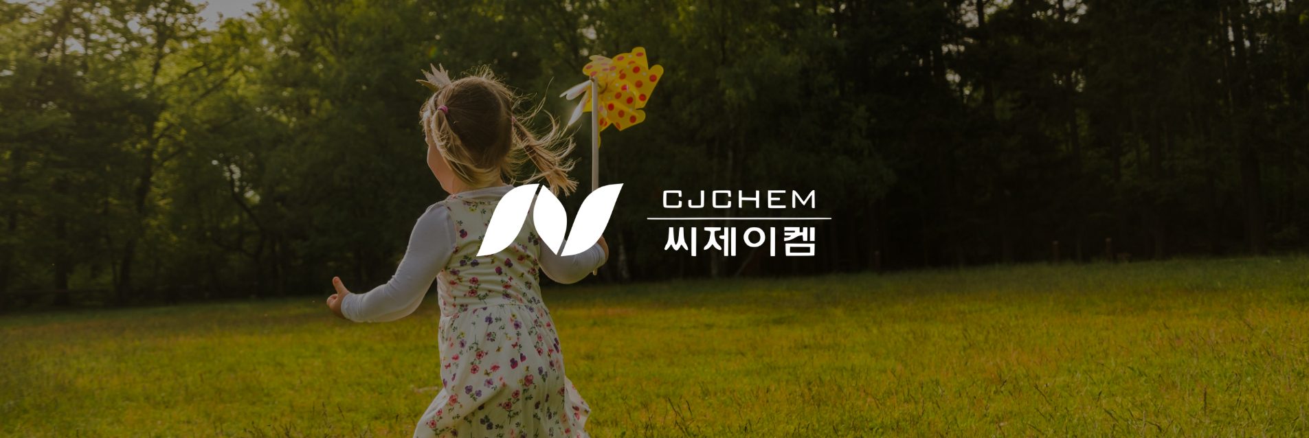 씨제이켐 WEB 대표 화면